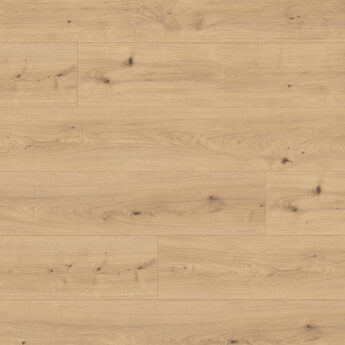 LAMINAT 2136 CADIZ EICHE NATUR 4V 10/33 24H C-IT