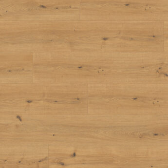 LAMINAT 2137 CADIZ EICHE HONEY 4V 10/33 24H C-IT
