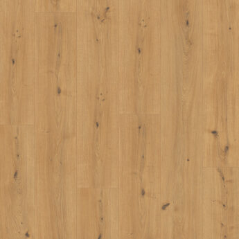 LAMINAT 2137 CADIZ EICHE HONEY 4V 10/33 24H C-IT